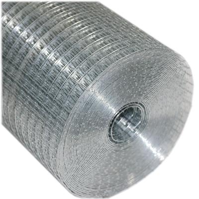 China Traditional Galvanized Welded Wire Mesh 10x10mm 3/8