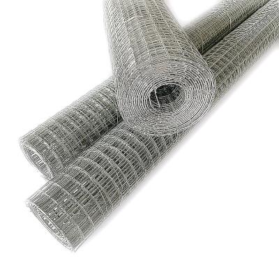 China Traditional Welded Wire Mesh Galvanized 12x12mm Diameter 19 Gauge Hop Dipped Galvanized Hardware Cloth 1/2