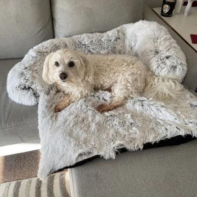 China Original Eco-Friendly Soothing Luxury Dog Bed Washable Orthopedic Memory Foam Pet Bed Sofa Cover Waterproof CF Plant Protector for sale