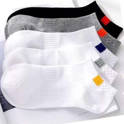 China Summer Customized QUICK-DRYING Thermal Men's Sports Sock And Ankle Socks QUICK DRY Antibacterial Source Long Lasting Source for sale