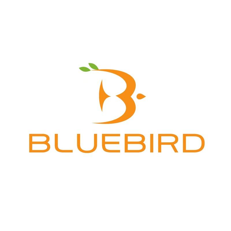 Verified China supplier - Shandong Bluebird Furniture Co., Ltd.