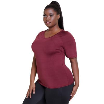 China Amazon Breathable Hot-selling Plus Size And Quick-drying Breathable Slim Women Sports Yoga Fitness T-shirt for sale