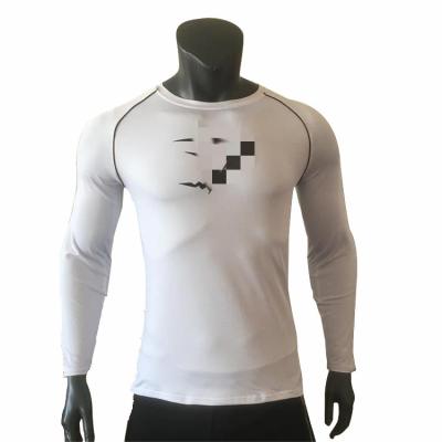 China Breathable Fitness Men's Running Sports Slim Thin Long Sleeved Quick Dry Clothes Milk Silk T-shirt for sale