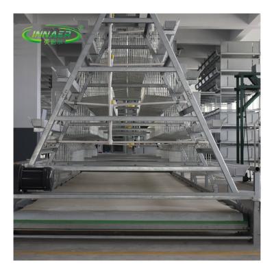 China Chicken Farm Battery Cage Layer Chicken Cage Battery and Chicken Layer for sale