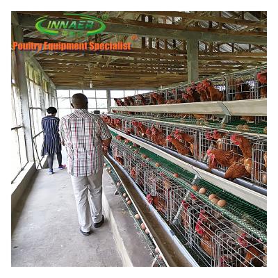 China Chicken farm layer battery cage system and hen layer cage chicken farm for sale