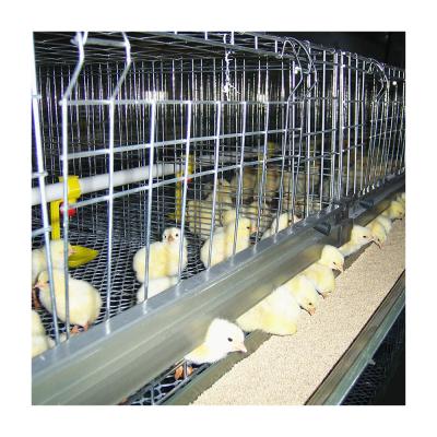 China Easy Install Broiler (ISO9001) Cage For Chicken Feeding Factory for sale