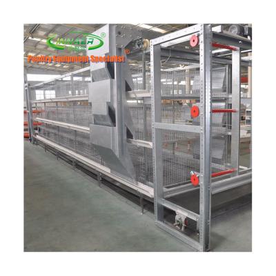 China Poultry Farm Full Automatic Supply Innaer Broiler Chicken Cage High Quality for sale