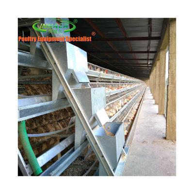 China Farms Kenya Chicken House Design for each hen house keeping 5000 hens for sale