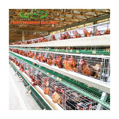 China Sustainable Nigeria Chicken Farm Design For Each Hen House Keeping 10000 Chickens for sale