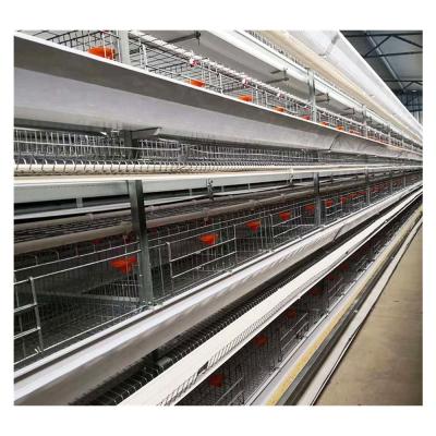 China Fully Automatic Chicken Broiler Chicken Farm Chicken House Use H Closed Type Temperature Control Cage for sale