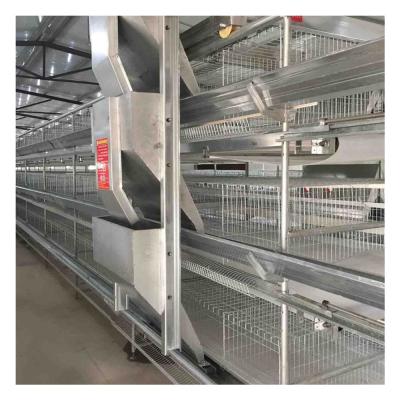 China Chicken farm H type battery chicken cage for sale of battery chicken layer cage for Pakistan farm for sale