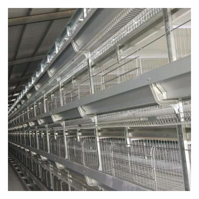 China High quality chicken cage h type from INNAER chicken farm for chicken cage for sale in Nigeria for sale