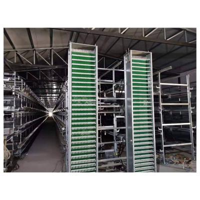 China Save Breeding Cost INNAER Automatic 3tier Egg Collecting Equipment For 3-5 Tier Chicken Cage for sale