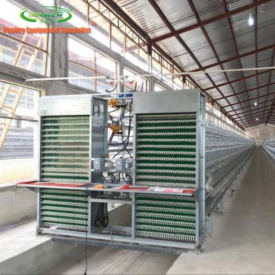 China Cultivate INNAER automatic egg collecting equipment for 4 tier chicken cage for chicken farm for sale