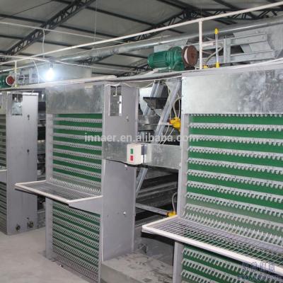 China Automatic Egg Collect Machine Automatic Egg Collect Machine For Poultry Farm for sale