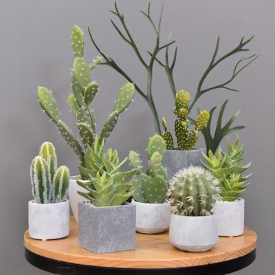 China Wholesale Plastic Artificial Real Touch Emulational Cactus Natural Plant With Pot For Home Decoration for sale