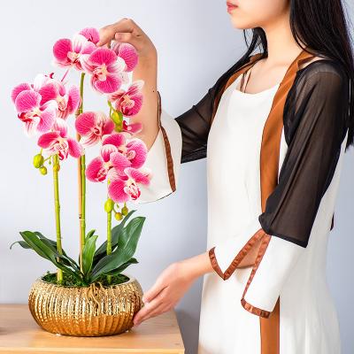 China Wholesale High Simulation Fake Fake Orchid Potted Artificial Orchid Decor White Potted Flowers With Leaves For Hotel Office Table Decoration for sale