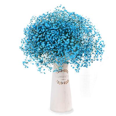 China Wholesale 100% Vitality Natural Fresh Gypsophila Dried Flower Preserved Babybreath For Home Wedding Decor for sale