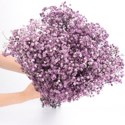 China Natural touch wholesale dried flowers bouquet preserved babysbreath flower for gift for sale