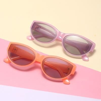 China Cat Eye 2022 New Women Vintage Sunglasses Brand Designer Cat Eye TAC Sunglasses for sale