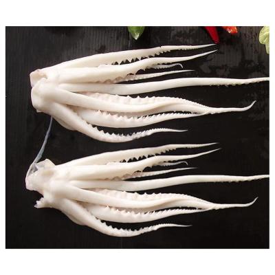 China Good Quality BQF Nutritious Frozen Bleached Squid Tentacle Skin for sale