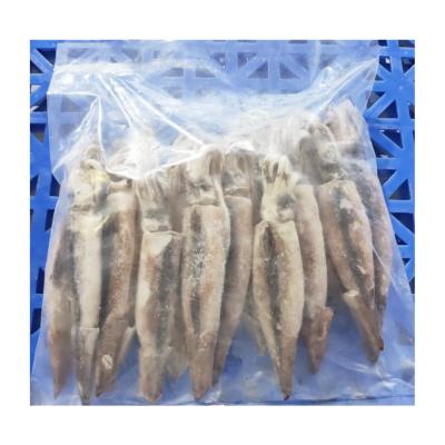 China NATURE Good Prices Small Squid Frozen Calamari For Fish Bait for sale