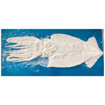 China Clean Whole Fillet of Powdered Squid by Nutritious Frozen Karaage for sale