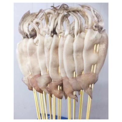 China IQF illex nutritious frozen squid skewers good export price for sale