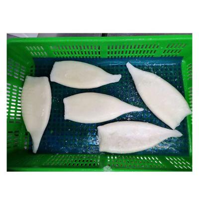 China Best selling frozen nutritious todarodes squid tube for export for sale