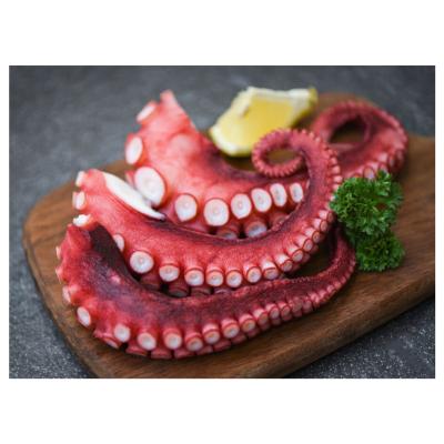 China Good Quality Nutritious Frozen Precooked Squid Tentacle for sale