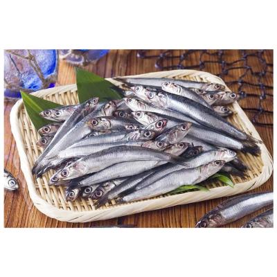 China Good Vitamins Quality IQF Frozen Anchovies Fish For Export for sale