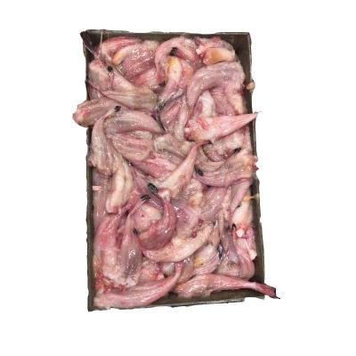 China New Arrival Vitamins Monkfish Tail For Human Consumption for sale