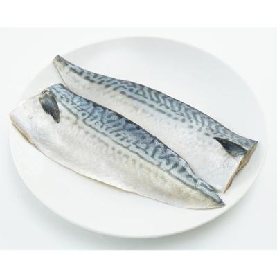 China Vitamin Good Quality Mackerel Boneless Frozen Fish Fillet for sale