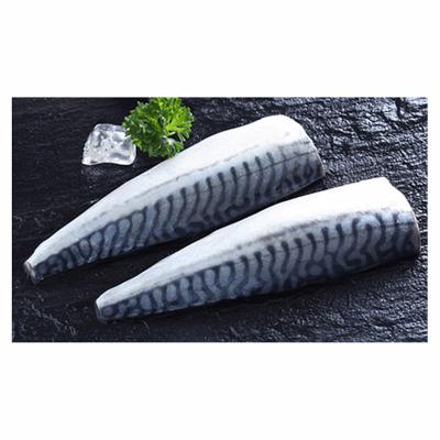 China Good Vitamins Price IQF Frozen Clean Mackerel Fish Fillet for sale