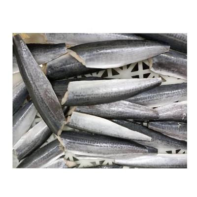 China Vitamins OEM Packing Spanish Mackerel Frozen Fish Fillet for sale