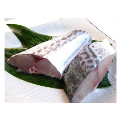 China Vitamin Wholesale Frozen Spanish Mackerel Fillet Cut Bonless for sale