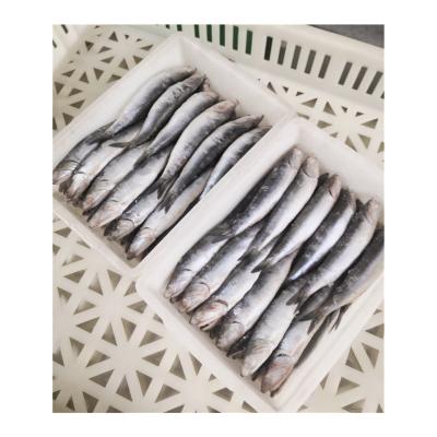 China Whole fish portion with vitamin anchovy jelly for roast for sale