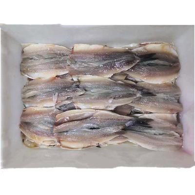 China Low Fat Price Good Block Frozen Anchovy Fish Fillet Without Bone for sale