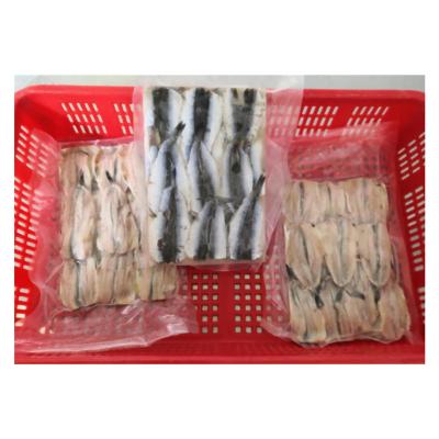 China Good Quality BQF Low Fat Frozen Clean Anchovy Fish Fillet for sale