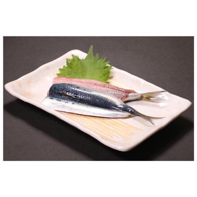 China Vitamins Good Quality IQF Boneless Frozen Sardine Fish Fillet for sale