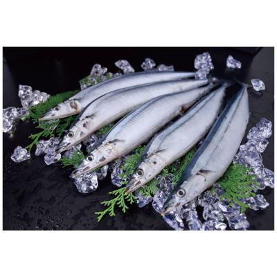 China NATURE good prices frozen leek fish for processing for sale