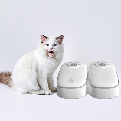 China Automatic 350ml x 2 Rolls Auto Feeding Bowl Smart Automatic Cat Feeder Timer Setting With Ice Pack for sale