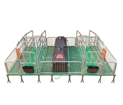 China Top Corrosion Resistance Hot Sale Swinery Pig Farrowing Crates Breeding Cages for sale