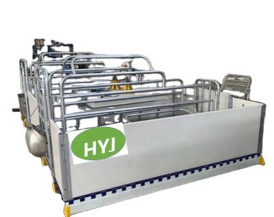 China Farms Machine High Quality Hog Pig Equipment Hog Farrowing Crates for sale