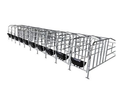 China Easily Clean Sow Gestation Bed Galvanized Pig Crates Pen Pig Flooring Stall Farrowing Bed Sow Farrowing Equipment For Sale for sale