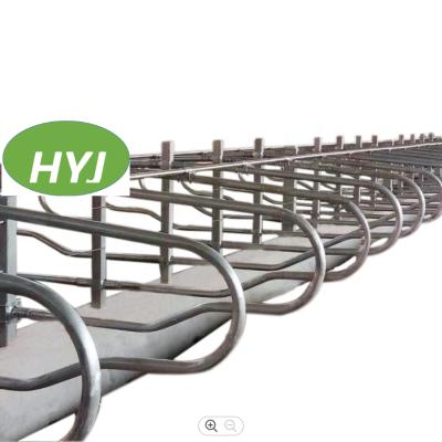 China Easily Install Portable Hot Selling Galvanized Dairy Cow Cattle Stall To Scare China Market Free Stall for sale