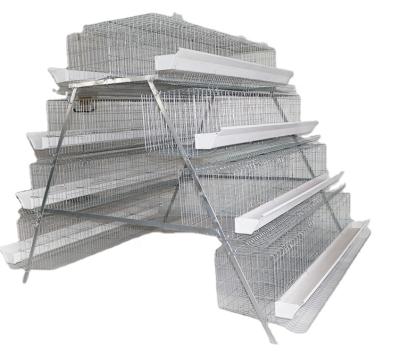 China Cages Complete Automatic Chicken Cages Plastic Chicken House Cage From China Manufacture for sale