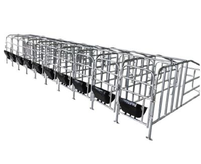 China Farms Farm Equipment Pig Sow Pen Crate Gestation Farrowing Box For Sale for sale