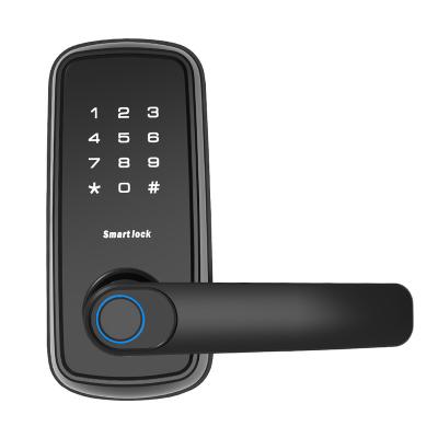 China High Quality Zinc Alloy/Plastic Smart Door Lock With WiFi Smart Digital Door Lock Which Can Be Opened With Fingerprint Card Password for sale