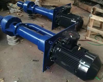 China LSB Vertical Centrifugal Slurry Pump High Wearable Cast Iron for sale